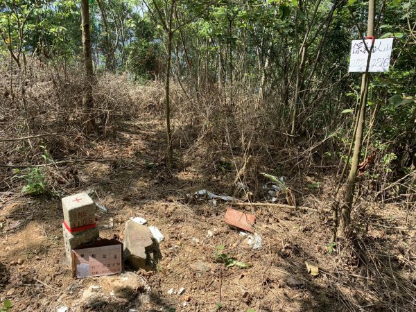 20250503屏東保和以山2781448