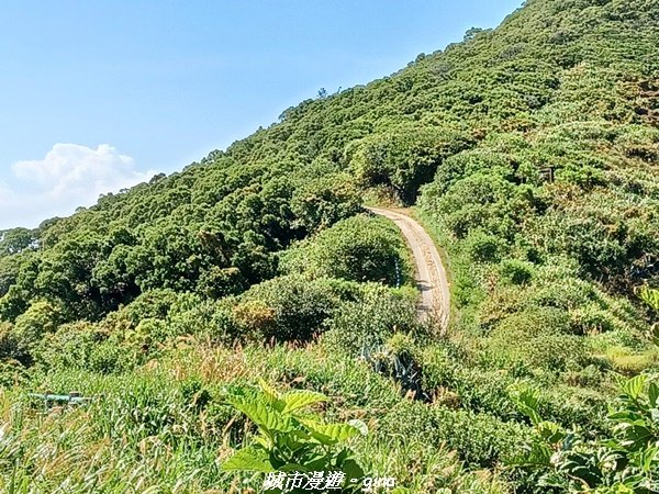 【馬祖北竿】親民步道好視野。 馬祖播音站x尼姑山x龍貓隧道x坂里天后宮x短波山40高砲步道1865262