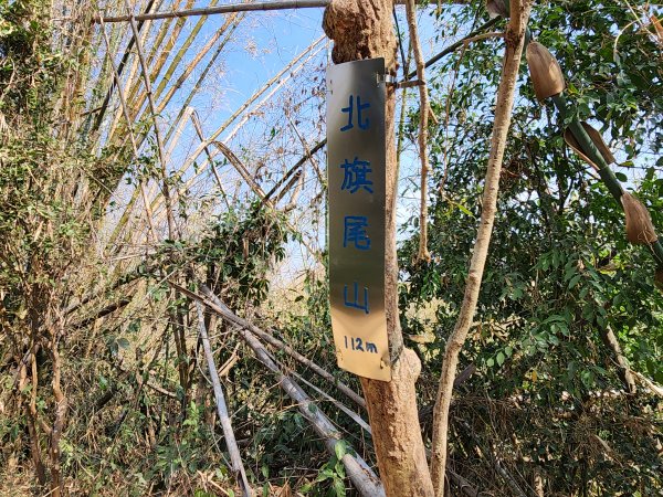 小百岳No.72⛰旗尾山3025188