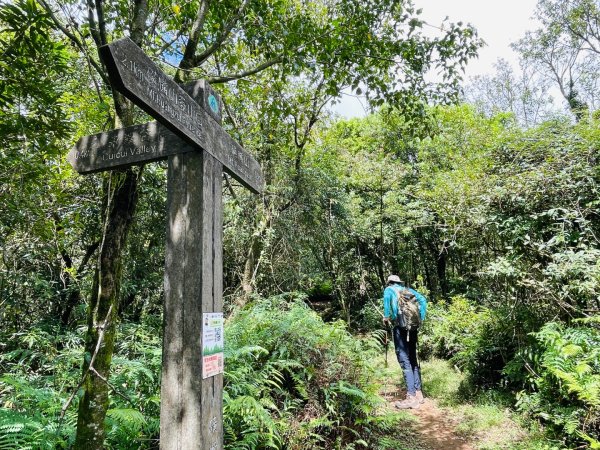 1140927磺嘴山2896080