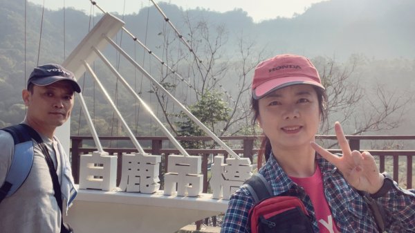 白毛山1309306