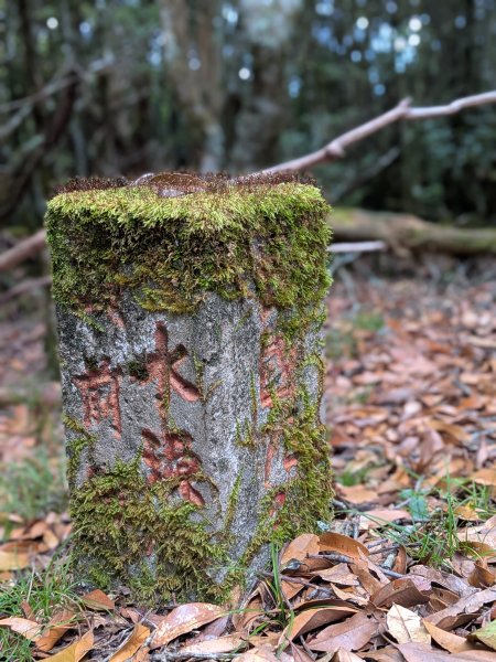 結界縱走三日(結城山、境界山、檜山)2920876