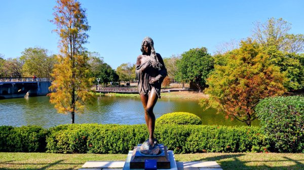 琴弦上的白宮2987566