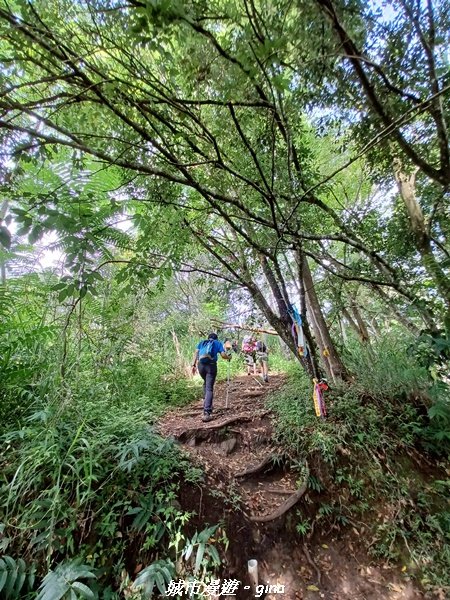 【南投信義】望鄉部落抬頭見玉山。 獵人古道連走、望美山、瓊山2274305