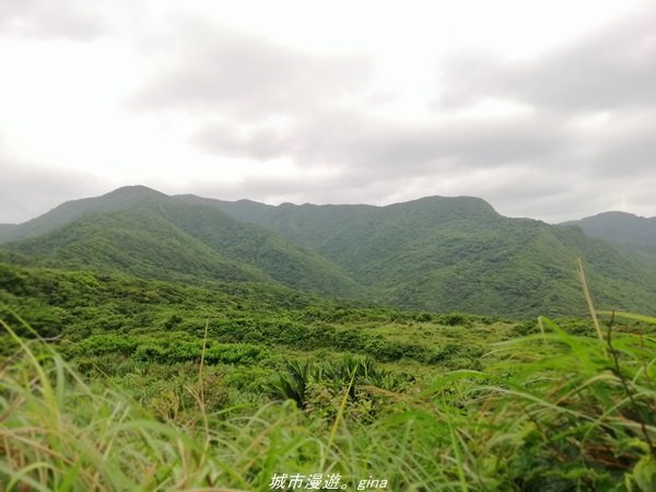 【新北。貢寮】壯麗海景。 龍洞灣岬步道1364896