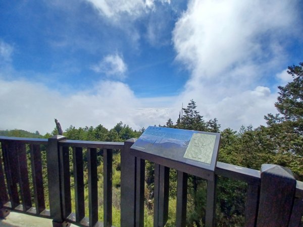 【台中和平】大雪山啞口觀景台步道2933083