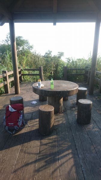 五指山古道O走-友蚋山-新山夢湖178456