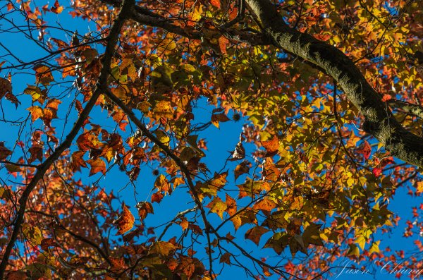 [台北]紗帽山2956578