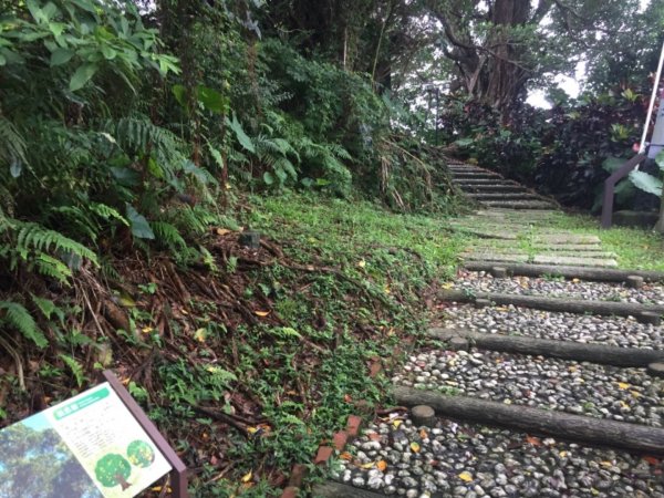 台北公館的觀音山(虎空山)427690