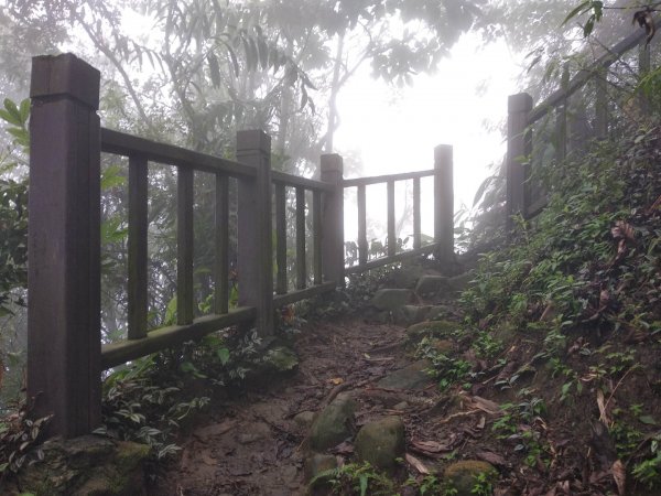 崁頭山步道1007168