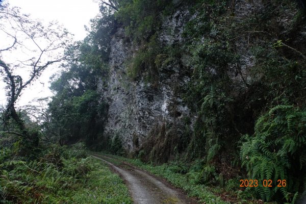 高雄 茂林 石南山2048570