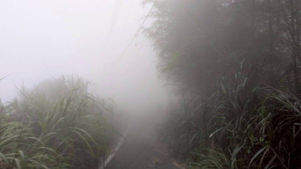 集集大山步道2886273