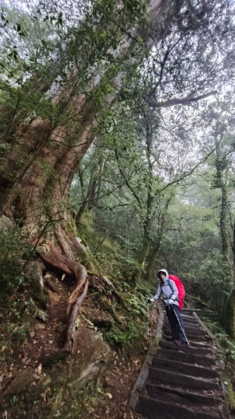 南一段20250101~052684995