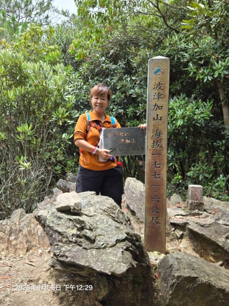波津加3098438