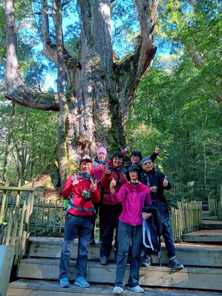 20260103~司馬庫斯巨木群 & 魯壁山老鷹溪步道攀(新竹/登山/JRJ紀錄分享)