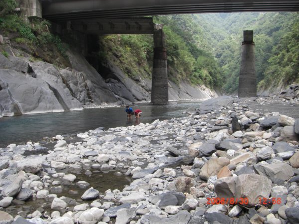 司馬庫斯部落之旅200808301954570