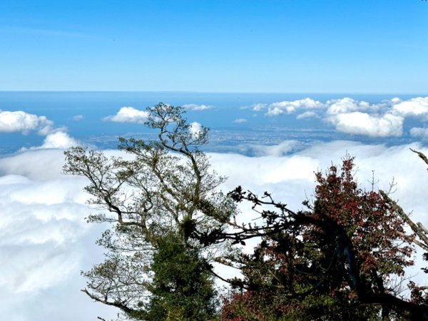 加里山O繞 迷霧·森林·鐵道·雲海絢麗登場2380704