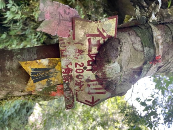 烏來阿玉溪山/西坑林道/探勘派出護管所彈藥庫遺址至獅坑橋2582021