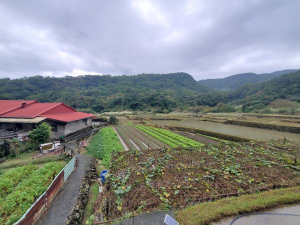 【福隆 | 草嶺古道】1172506