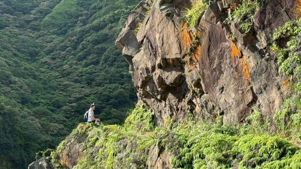 南雅安檢所-南子吝-小錐麓-保羅池-台糖-明隧道-南雅安檢所2894170