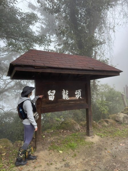 留龍頭-嶺頭山-金柑樹山-忘憂森林（2025必去）2720354