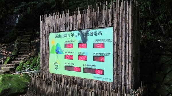 狗殷勤古道,平菁街櫻花1576836