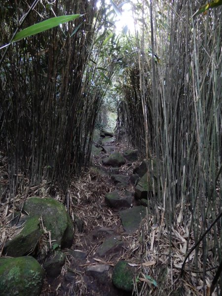  20190525_小觀音山群峰593535