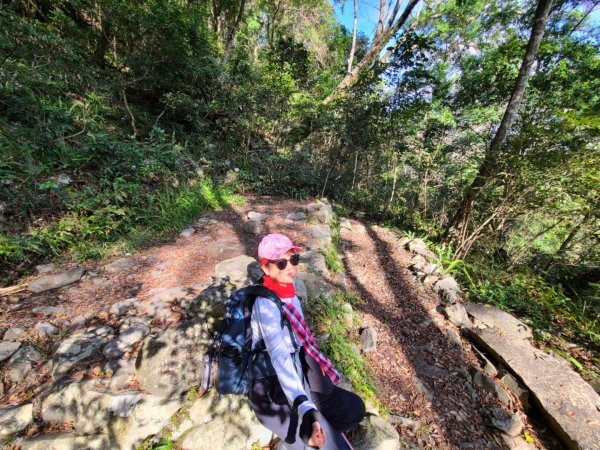 谷關七雄八仙山、加保台山1890612