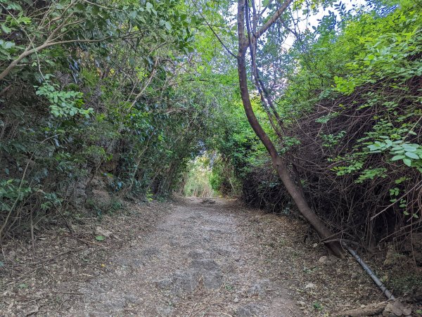 無敵海景的車城龜山步道1535715