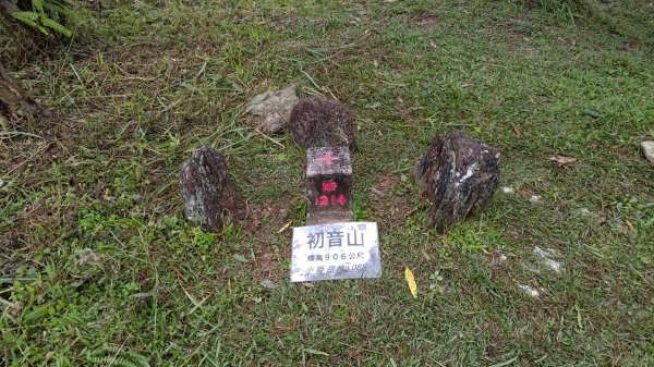 初音山2928662