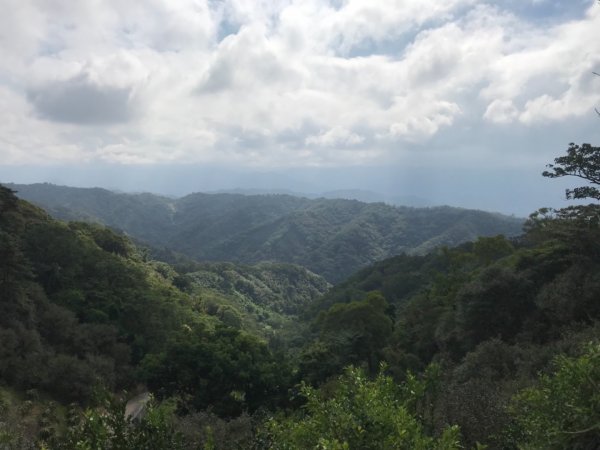 走飛鳳山3連峰吹吹九降風707533