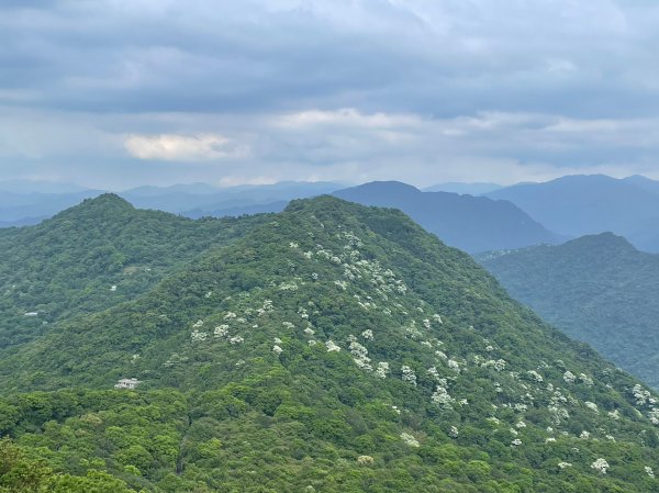 小百岳(20)-獅仔頭山-202305062158183