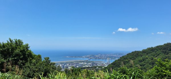 【2024觀音觀鷹尋寶任務】一日走完七條步道完成!2508403