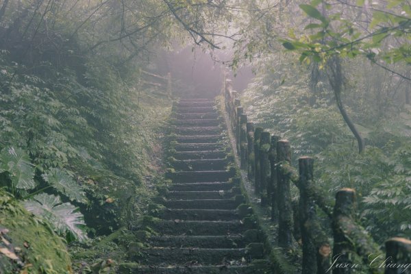 [新北]二格山2730213