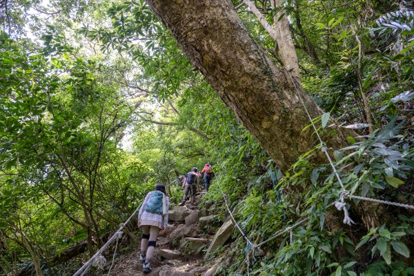 春遊觀音山/K-週五隊3020306