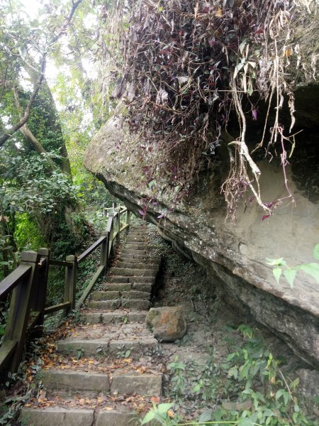 小百岳崁頭山+八卦山一線天步道1883550