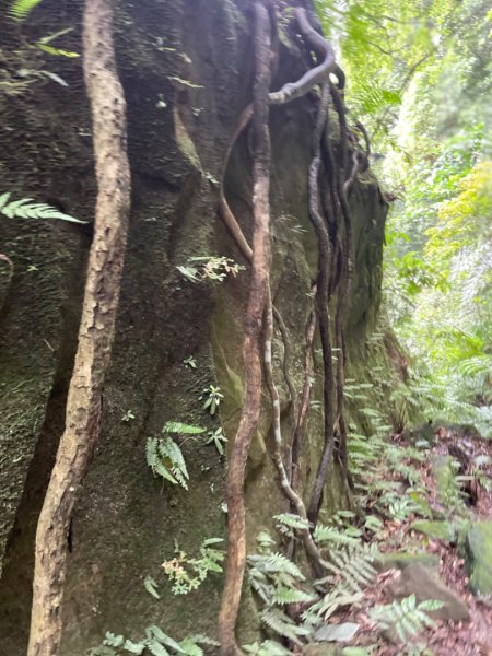 烏月山群峰--向天湖古道2515286