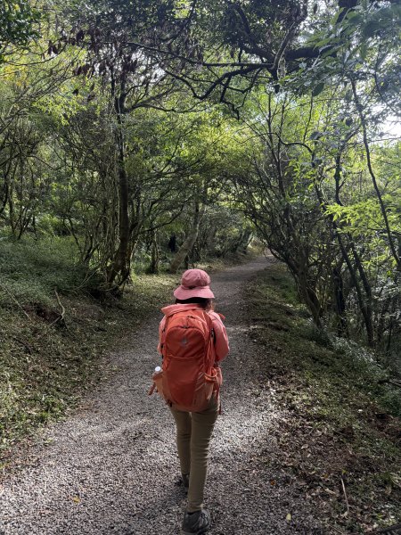 二子坪步道 經遊憩區 上面天山 202511082935043