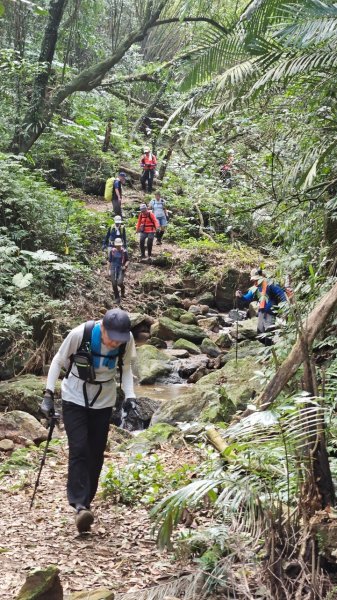 20250302玉田古道-瑪鋉三山出武聖街2725254