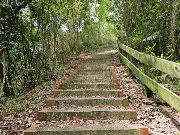 十二寮古道 - 2024森遊竹縣皮皮獅Hike客任務2555532