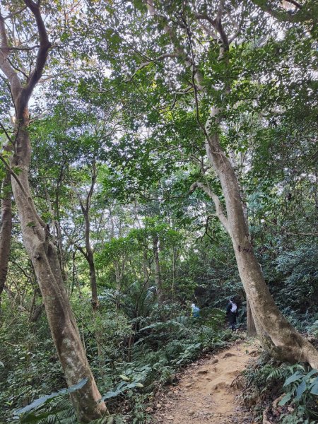 2024.01.02 飛鳳山2832140