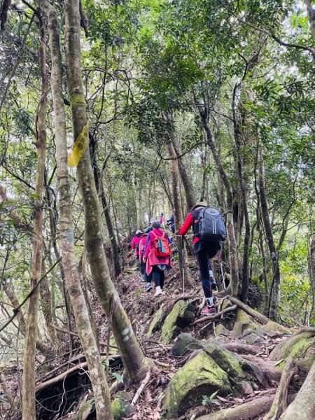 1140319仙山-仙山南峰2738262