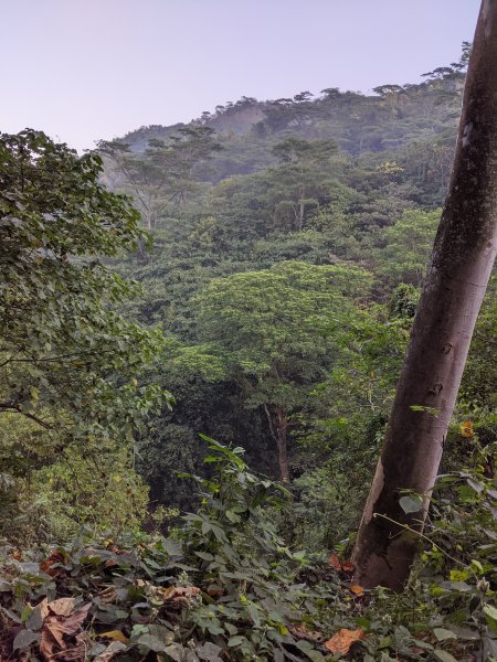 【屏東-小百岳】三大郊山 笠頂山805206