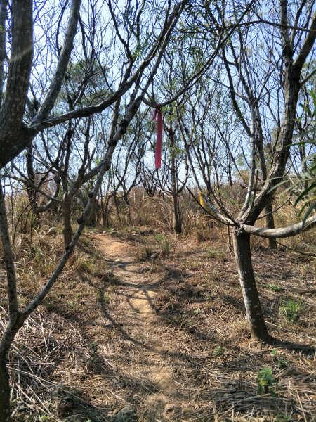 知高圳步道、雪蓮步道、學田山、王田山1255779