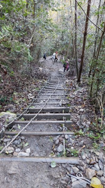 熱血一日霞喀羅賞楓之旅2785008