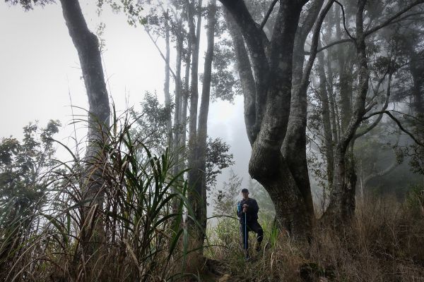 水漾森林。鹿屈山O型2018.04.04307397