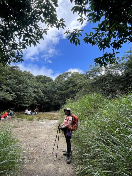 南松鶴上八仙山下松鶴O繞 202408242581515