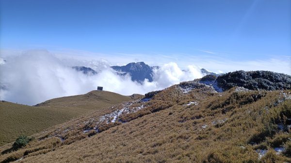 歡樂腳合歡北峰瑞雪2400952