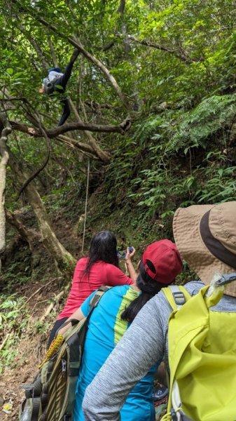 東勢大崙、東勢坑山、觀音湖山O走2986336