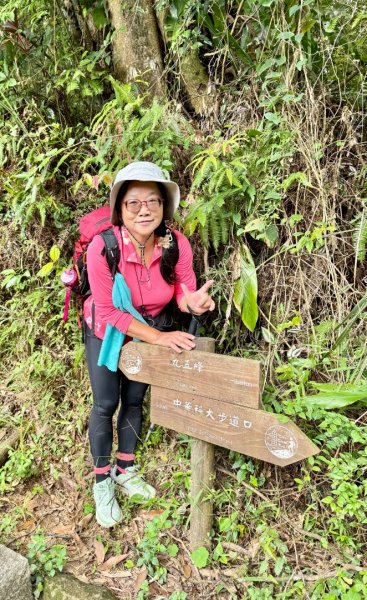 南港山(小百岳#13)/中華科技大學南港山來回2938334